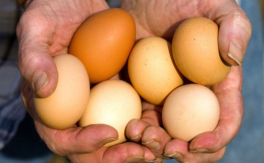 Мужик с яйцами: новое хищение с бобруйского предприятия
