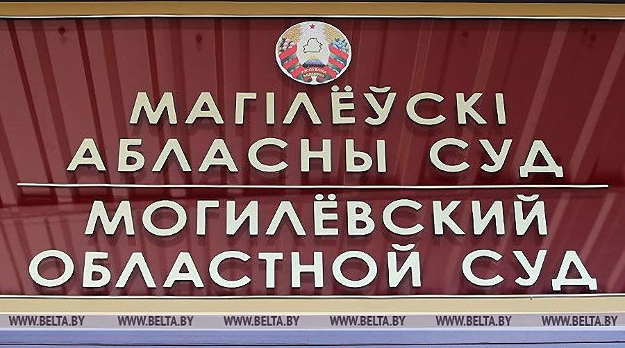 Жительницу Бобруйска будут судить в Могилеве за попытку убийства новорожденного