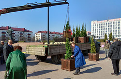 Деревянные кадки появились на площади Ленина