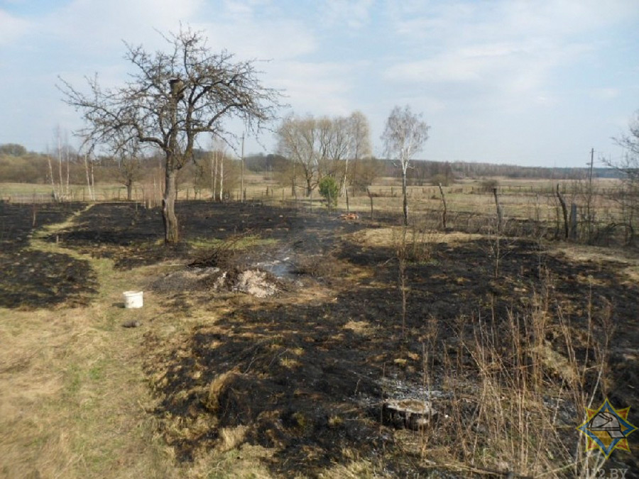 В Жлобинском районе дедушка тушил траву и погиб