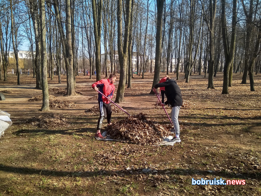 В последнюю субботу марта активисты БРСМ собрались в бобруйском парке
