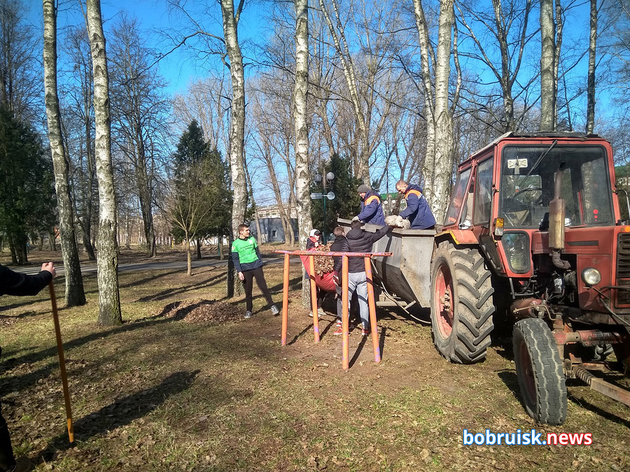В последнюю субботу марта активисты БРСМ собрались в бобруйском парке