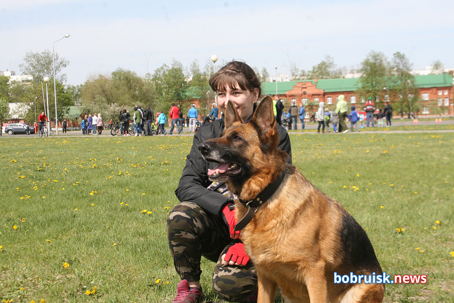 Встреча с «мухтарами» для бобруйских школьников