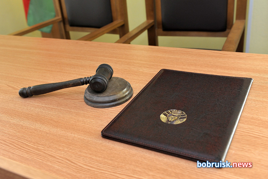 «Обещал помочь решить вопросы»: житель Бобруйска осужден за мошенничество и подстрекательство к даче взяток