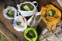 Бобруйчанин по месту жительства хранил 550 граммов марихуаны