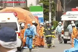 Мужчина с ножами напал на школьниц в Японии. До 20 человек ранены, одна первоклассница погибла