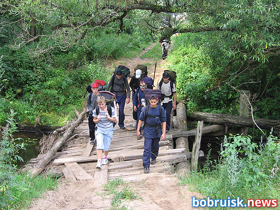 Пожары продолжаются, но леса вокруг Бобруйска и Кировска открыли для посещения