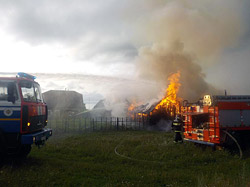 Пожар в Бобруйском районе, животных и птицу удалось спасти…