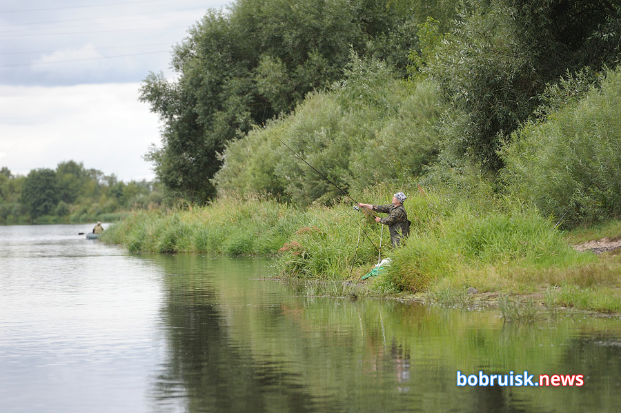 Ещё один мост над Березиной, или Как работает единственная в Бобруйске лодочная переправа?