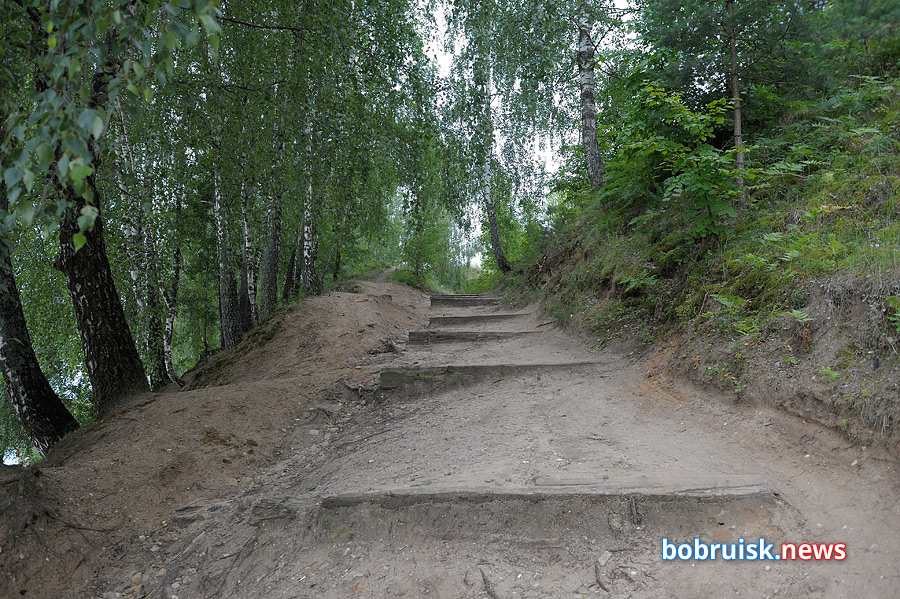 Ещё один мост над Березиной, или Как работает единственная в Бобруйске лодочная переправа?