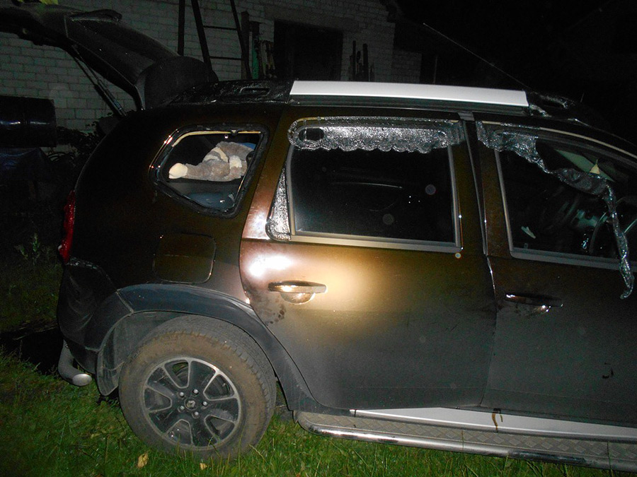 В Бобруйске огонь уничтожил кровлю дома и автомобиль