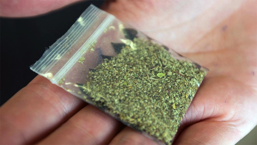 В Бобруйске у приятелей обнаружено более 80 г марихуаны