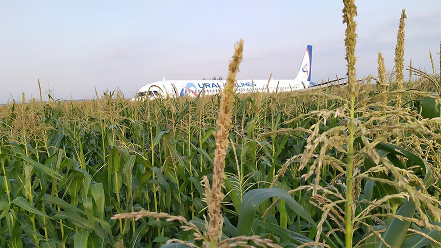 «Пилот гений»: что говорят пассажиры севшего на кукурузном поле Airbus A321 (видео из самолета)