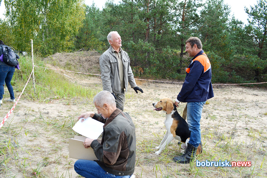 Наглые зайцы, хитрые куницы: реальные истории охотников из Бобруйска