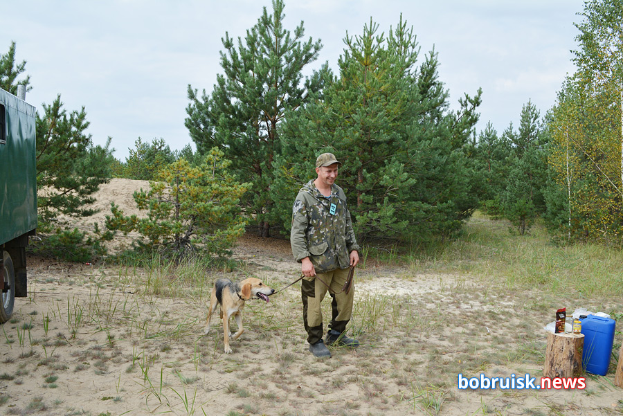 Хвостатые охотники из Бобруйска продемонстрировали клыки