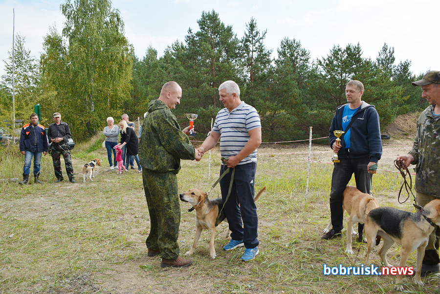 Хвостатые охотники из Бобруйска продемонстрировали клыки