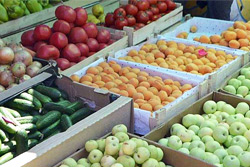 В Бобруйске рецидивист напал на продавщицу фруктов: хотел отнять деньги