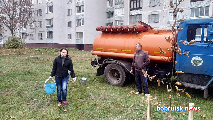 На зеленой зоне, рядом со «спорным» ТЦ в Бобруйске посадили деревья