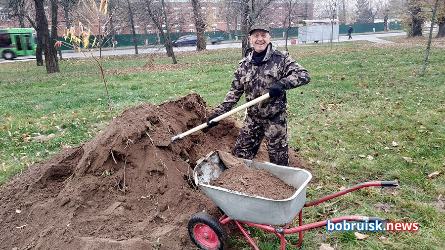 На зеленой зоне, рядом со «спорным» ТЦ в Бобруйске посадили деревья