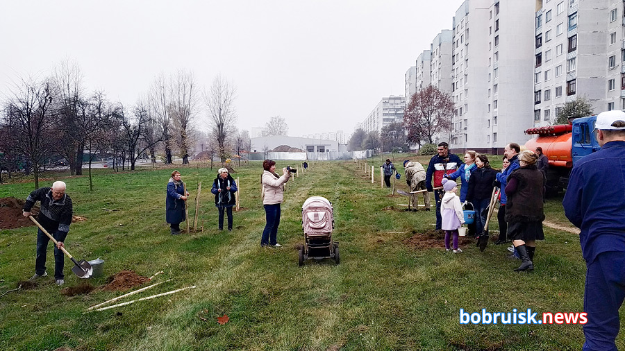 На зеленой зоне, рядом со «спорным» ТЦ в Бобруйске посадили деревья
