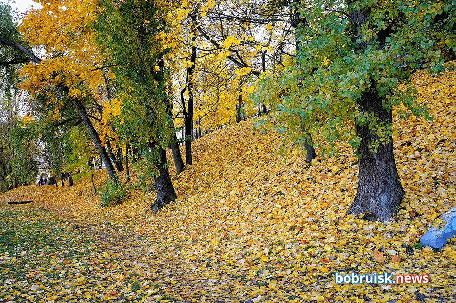 Осенний фоторепортаж с бобруйских улиц