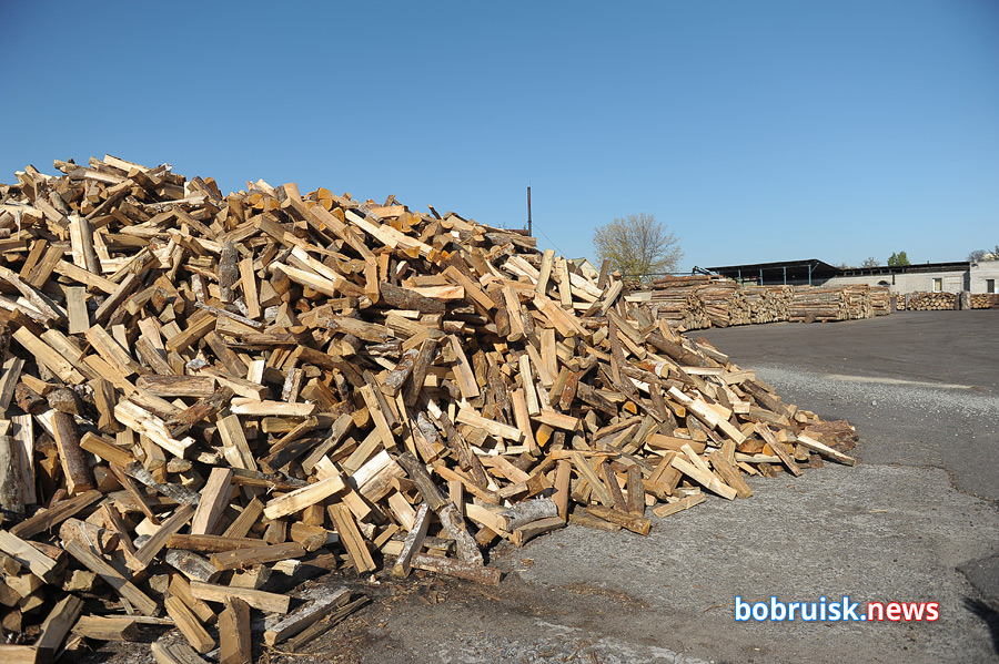 Какие дрова лучше, сколько топлива заготовили в Бобруйске и почем продают