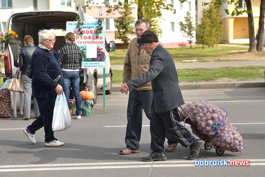 В Бобруйске волонтеры помогут пожилым людям с доставкой продуктов с городских ярмарок
