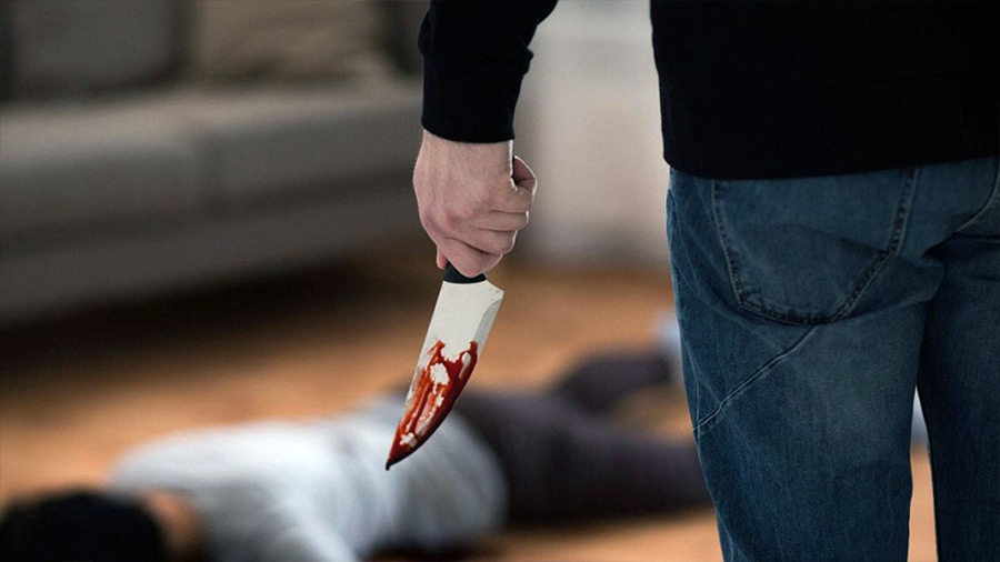 «Нож я взял, наверное, для того, чтобы его напугать»: осужден житель Бобруйска, который завершил ссору с сыном ударом ножа