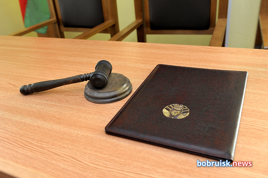 Деловой разговор с заместителем председателя суда Бобруйского района и г. Бобруйска по гражданским делам Еленой Евгеньевной МАНКЕВИЧ.