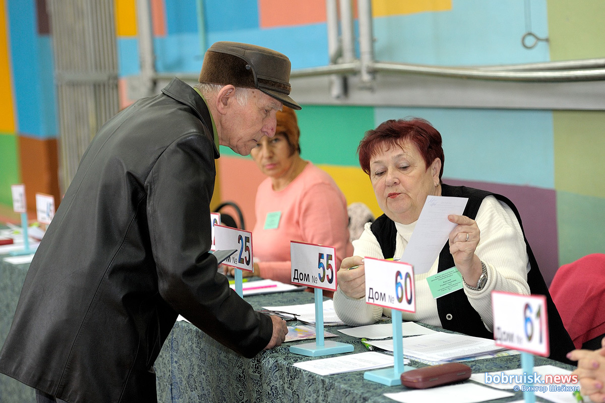 Как бобруйчане голосовали на парламентских выборах. Фоторепортаж