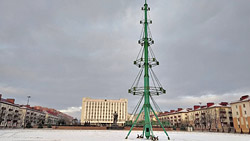 Елки в городе: Бобруйск зеленеет к Новому году!