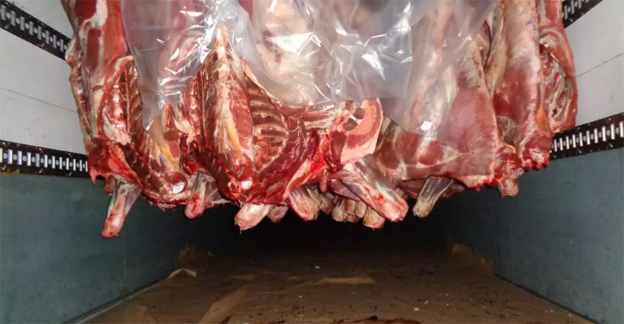 16,8 тонны говядины из Бобруйска задержали на границе с Россией