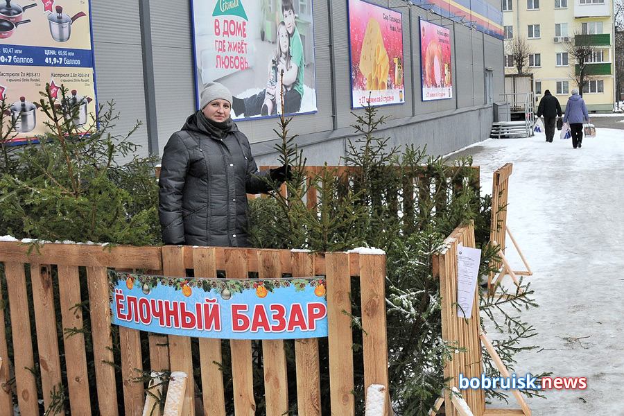 Сегодня в Бобруйске открываются зеленые базары!