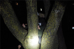 «Я тоже буду спасателем»: сотрудники МЧС в Бобруйске освободили маленького мальчика, который застрял в дереве