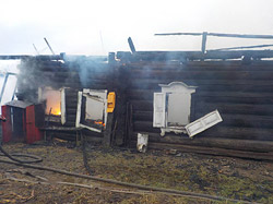 Пожар в деревне под Бобруйском: в огне погибли 15 кроликов
