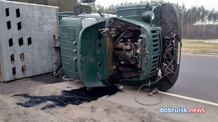 На въезде в Бобруйск опрокинулся грузовик с 60-ю свиньями