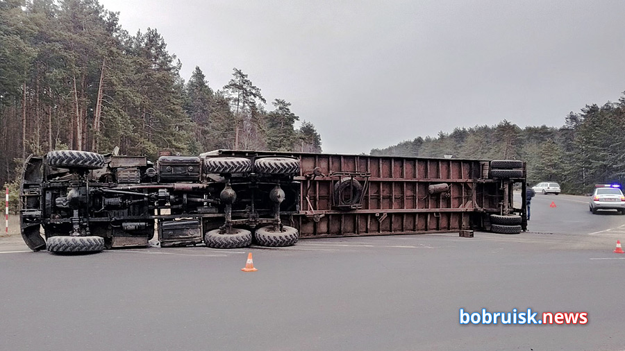 На въезде в Бобруйск опрокинулся грузовик с 60-ю свиньями