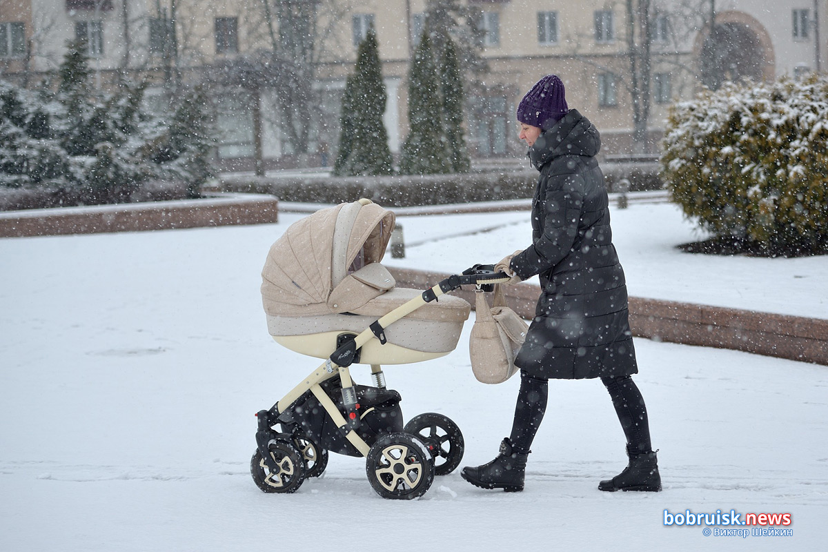 Попробуй зиму на вкус: снежный фоторепортаж из Бобруйска