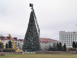 «Синяя крона, малиновый ствол»: на главной площади Бобруйска разбирают елку