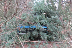 В Бобруйске трое молодых людей украли машину и спрятали в лесу