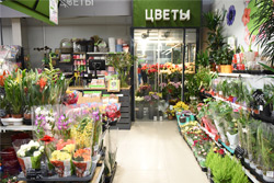 Влюбленным в Бобруйске снизили цены на цветы