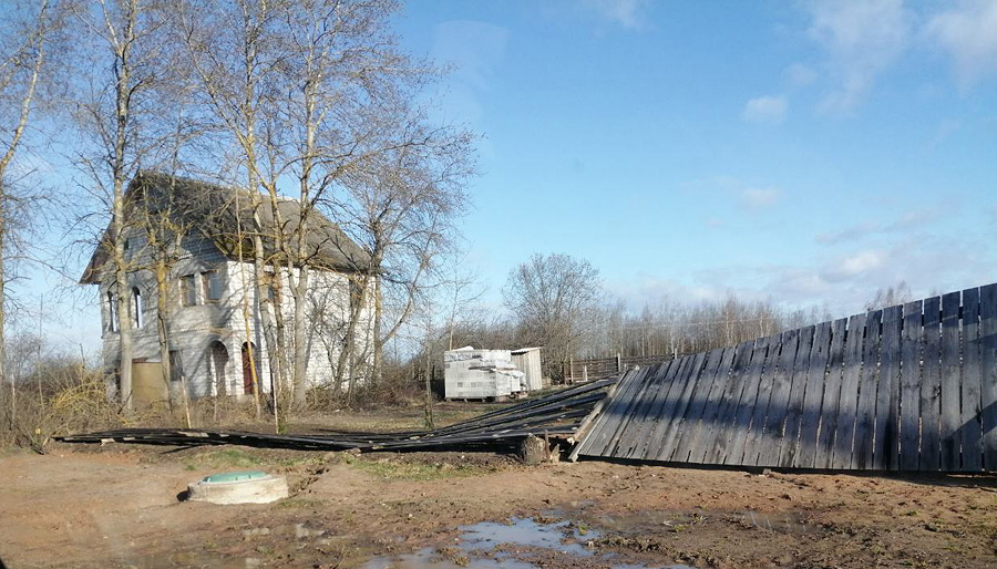 Поваленные деревья и обесточенные деревни: что натворил ветер в Бобруйске и окрестностях