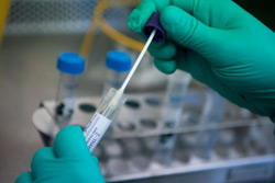 По состоянию на утро 19 марта случаев коронавируса в Могилевской области не выявлено