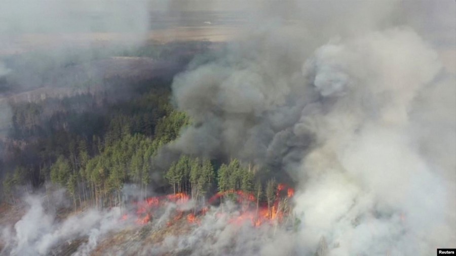Пожары в Чернобыльской зоне подошли к границе с Беларусью