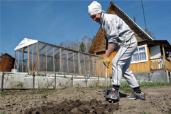 Как ситуация с коронавирусом повлияла на заботы бобруйских дачников