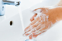 Моем руки, ручки, лапы: как уберечь себя и свое жилище в период пандемии?