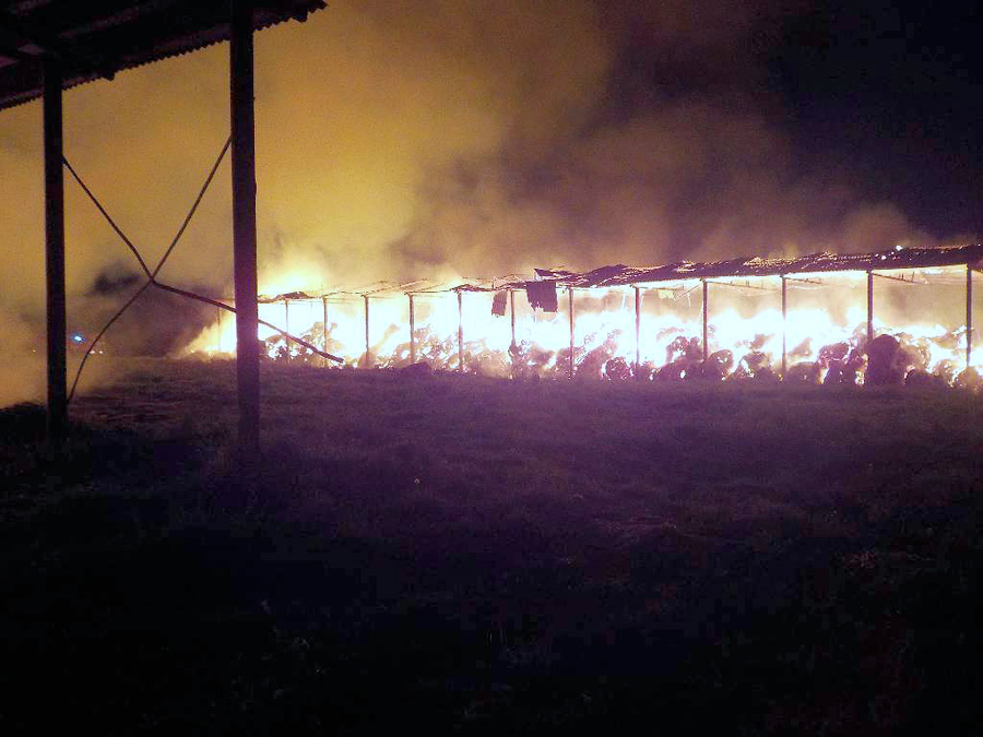 Огненное зарево в Бобруйском районе