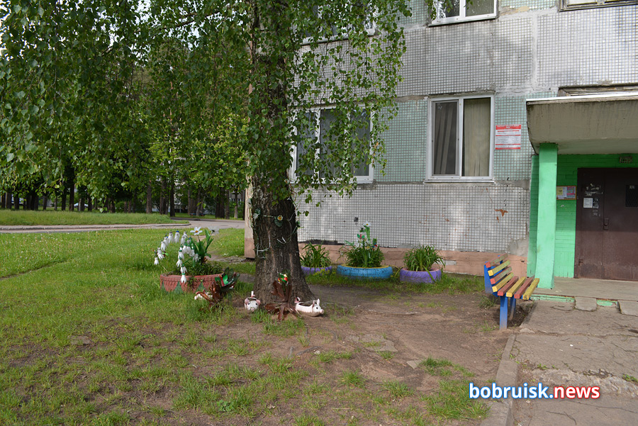 Почему во дворах Бобруйска вырубают кусты и акацию?