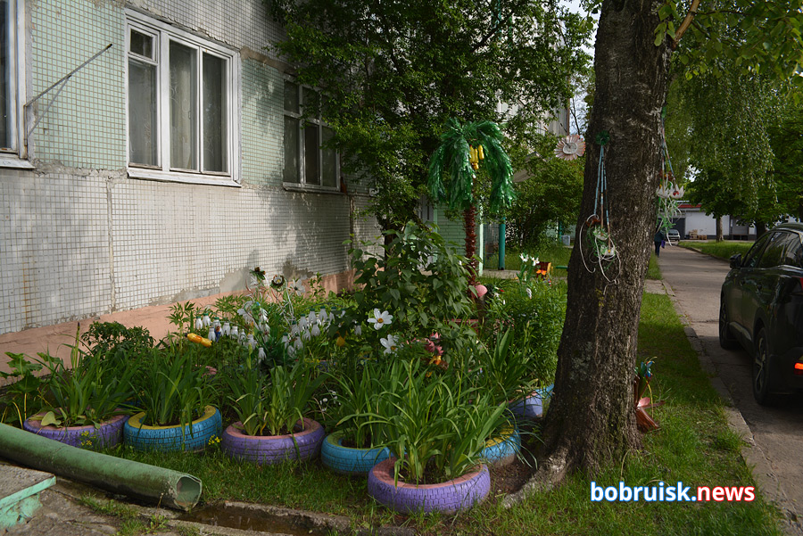 Почему во дворах Бобруйска вырубают кусты и акацию?