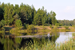 Как бобруйчане спасают лето